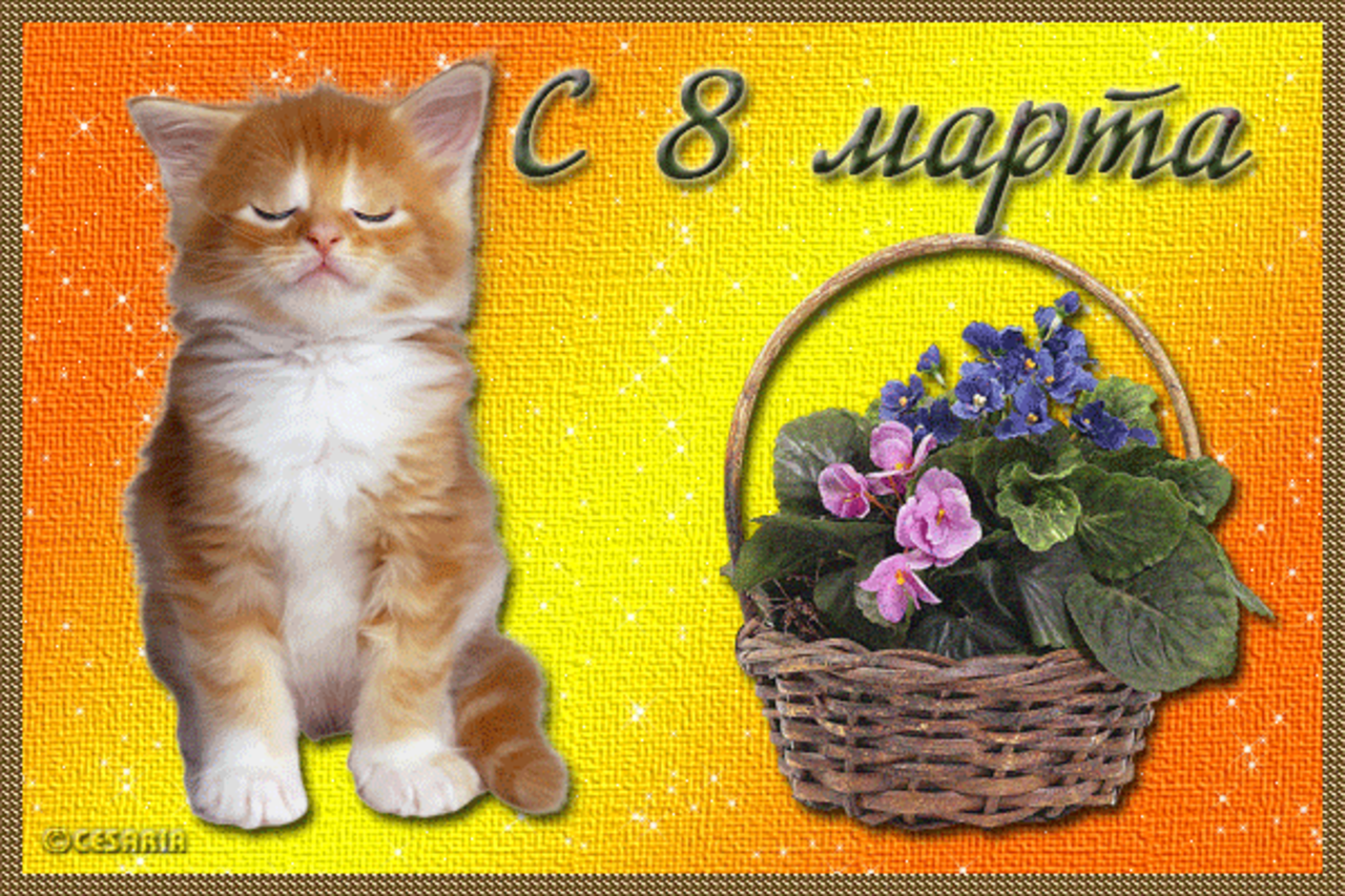 Открытка живая с 8 марта